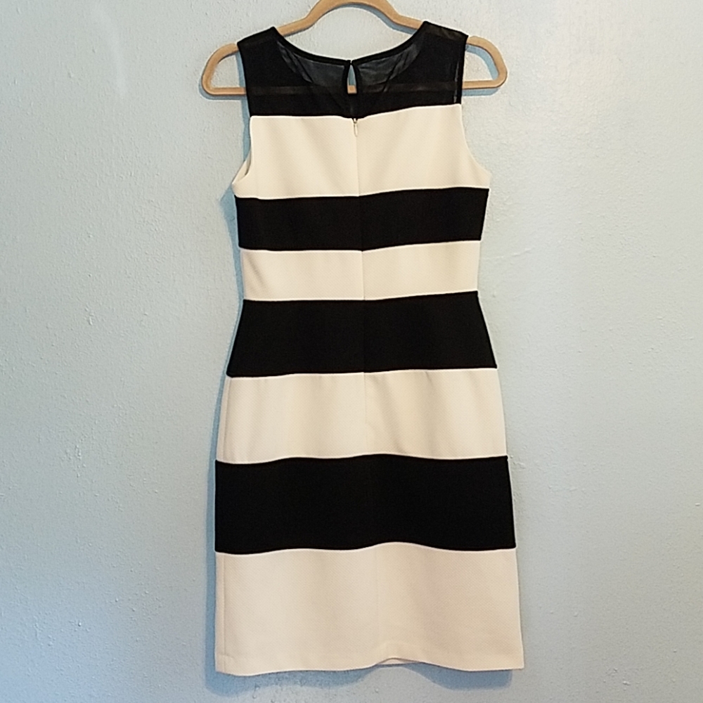 Sandra Darren Black and White Dress - Picture 2 of 5